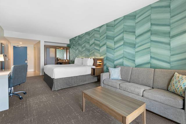 Room, 1 King Bed, Accessible, Non Smoking